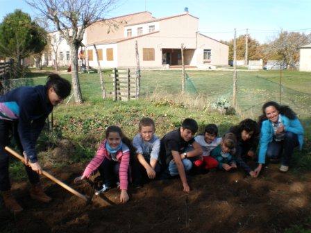 Ajos San Martin 11nov