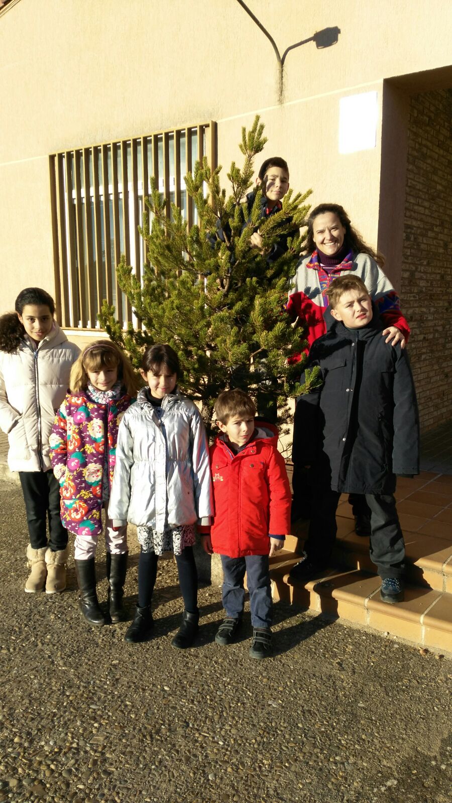 ÁRBOL DE NAVIDAD