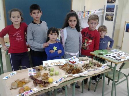exposición
